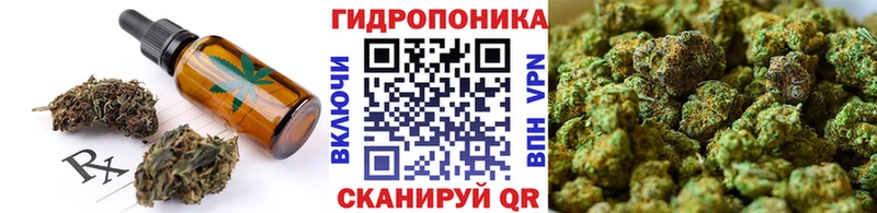 Купить  Ветлуга  Еда ТГК конопля 