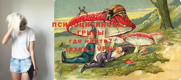 mdpv Инсар