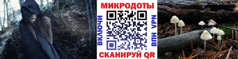 Купить закладки  Ветлуга  Псилоцибиновые грибы Cubensis 